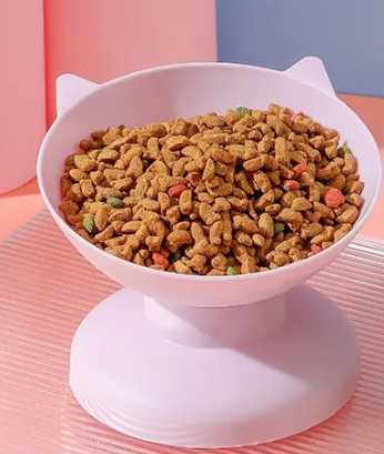 Pet food bowl close up