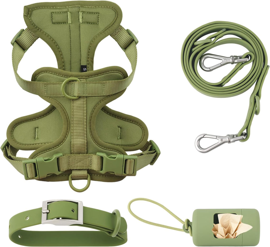 PawHaven dog harness set lifestyle photo showing complete walking kit with leash and collar