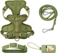 PawHaven dog harness set lifestyle photo showing complete walking kit with leash and collar