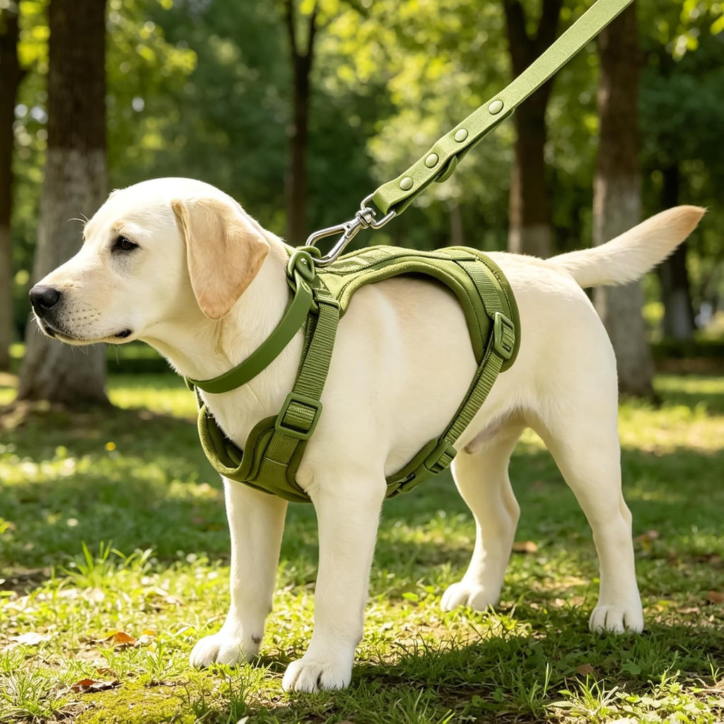PawHaven dog harness set lifestyle photo