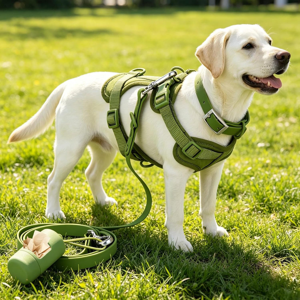 PawHaven no-pull dog harness and leash set complete walking kit