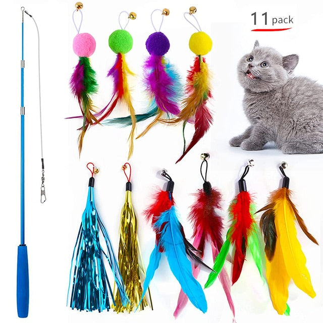 Cat playing with feather toy