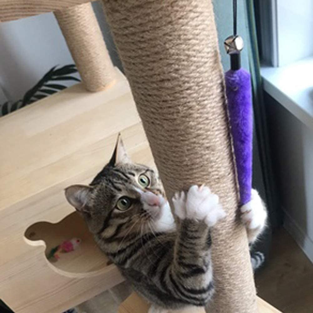 11-piece cat toy attachment set
