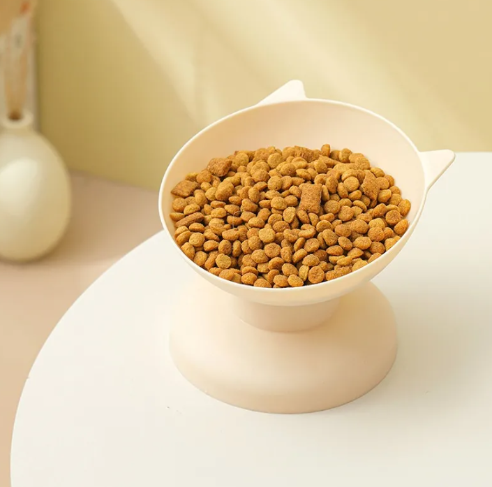Cat drinking from pet bowl